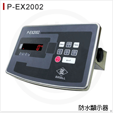 P-EX2002